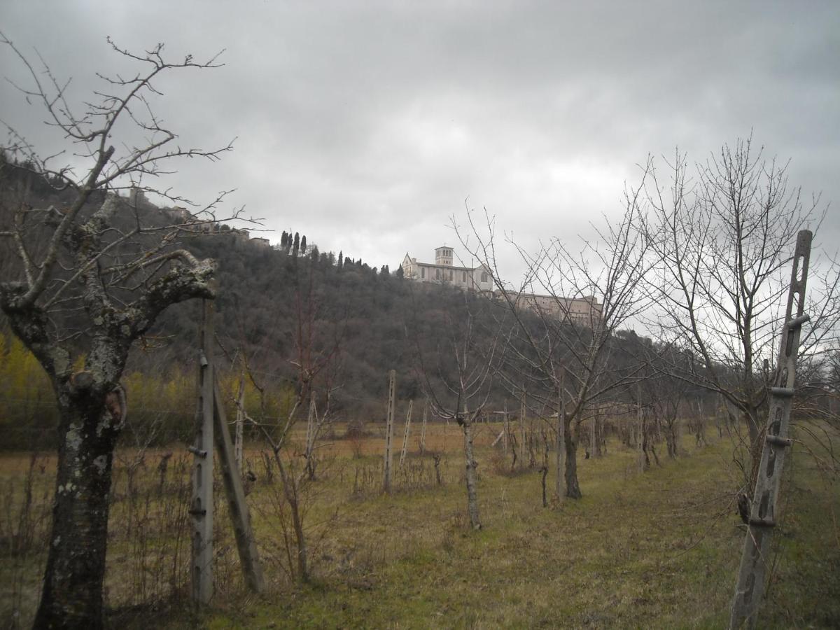 Camere le cascatelle Assisi Exterior foto